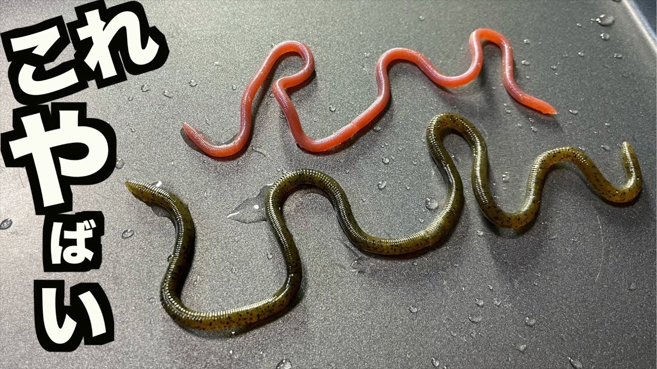 爆誕】最新バス釣りルアー『デカMMZ』ついに登場か！？ - YouTube