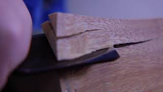 再抽選※ 海千山千會 薩摩 コップ 虚（うろ）