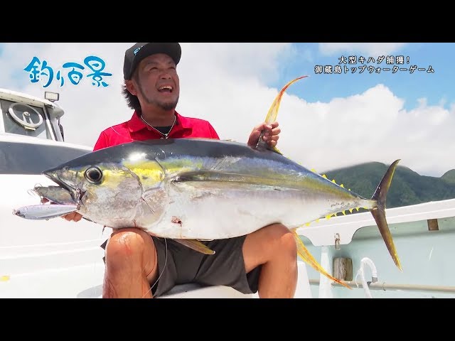 釣り百景】#301 大型キハダ捕獲！御蔵島トップウォーターゲーム - YouTube