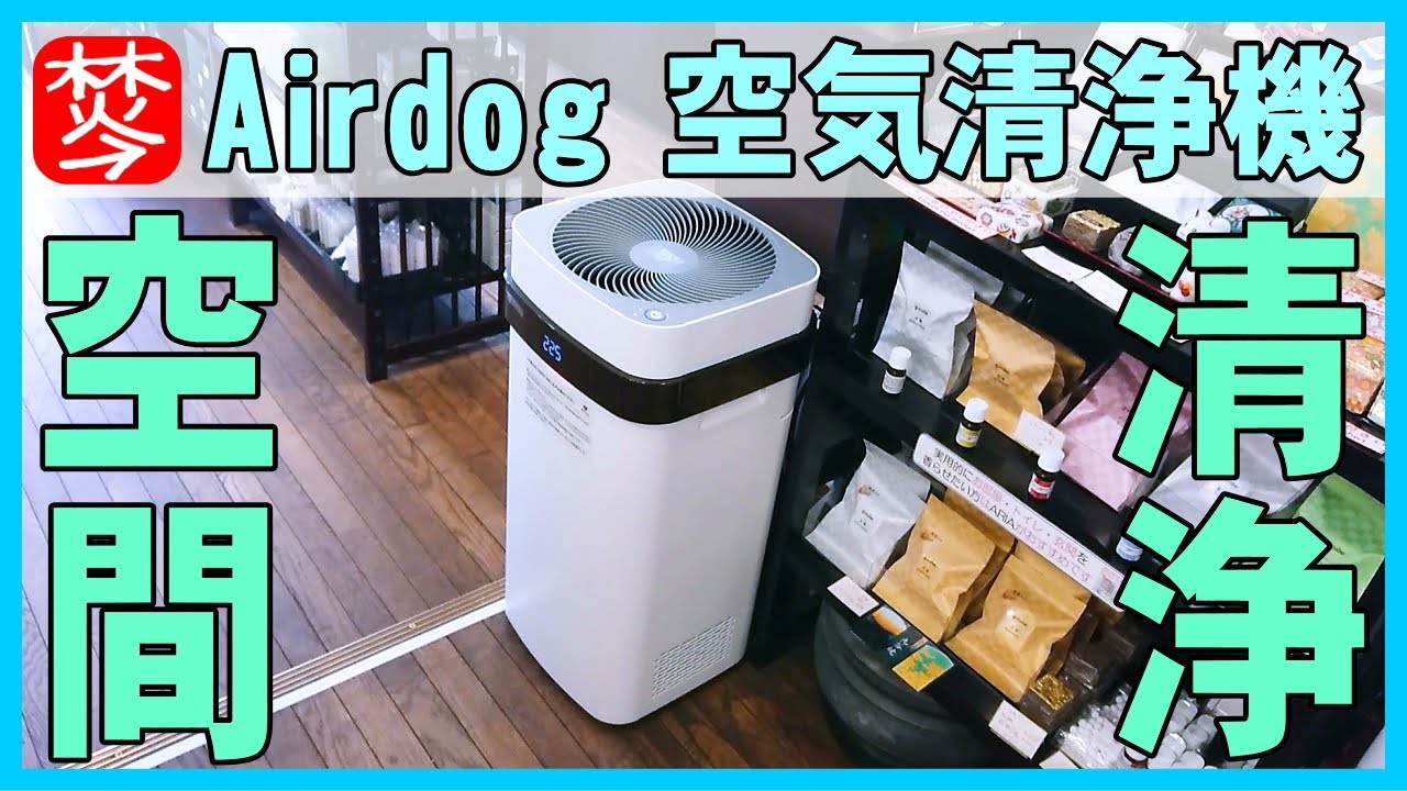エアドッグ・Airdog①導入設置偏】空気清浄機-世界最強レベルのAirdog