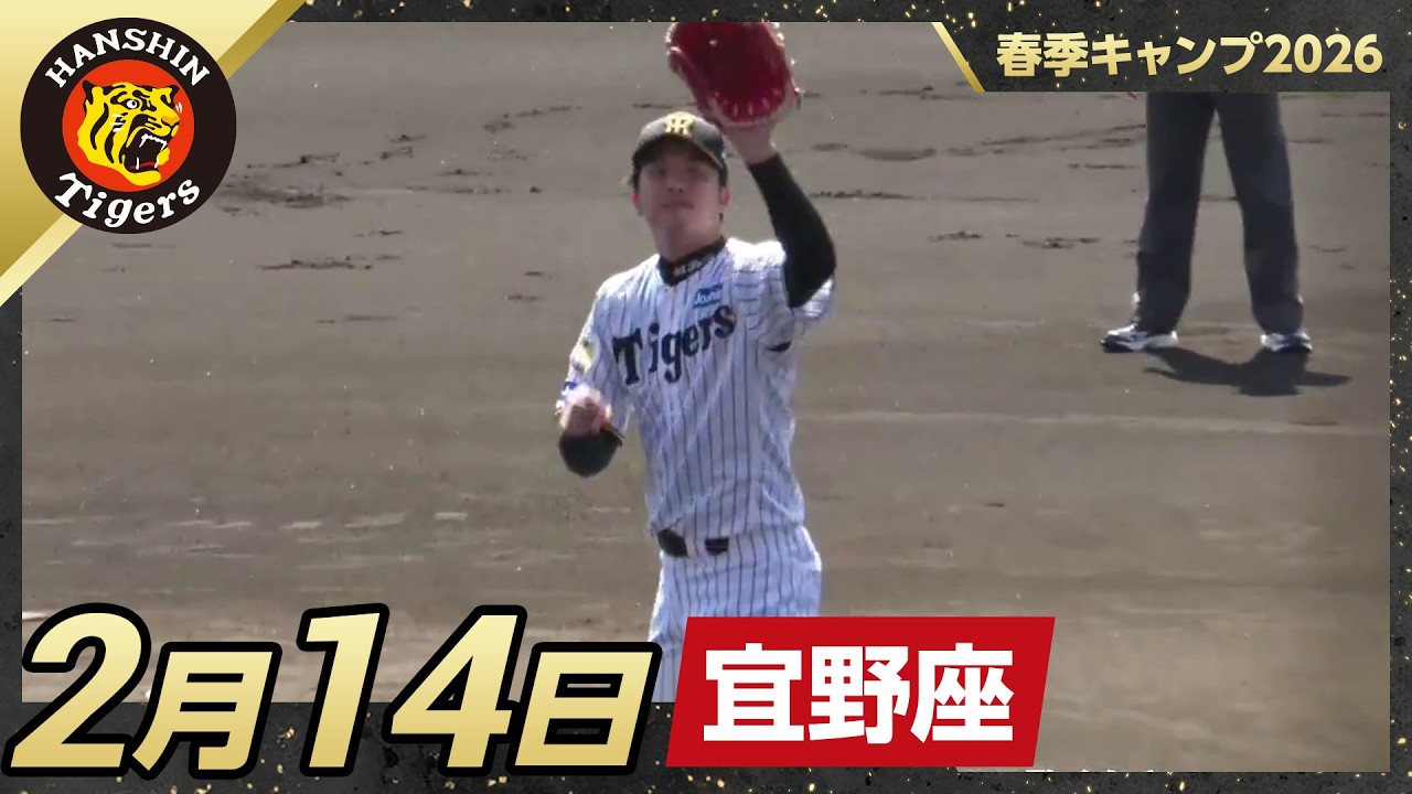 ウル虎の夏】ウル虎の夏2023限定ユニフォーム！『トランスフォーム』が