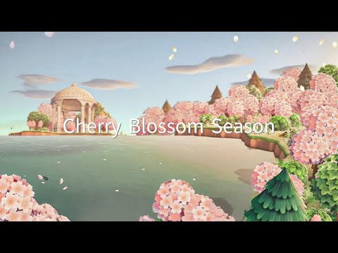 単発】桜並木の遊歩道 | National Cherry Blossom Festival | Speed