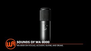 WARM AUDIO ( ウォームオーディオ ) WA-8000 真空管コンデンサーマイク