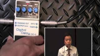 試奏動画】BOSS DD-5 Digital Delay 【BOSS COMPACT PEDAL 100th