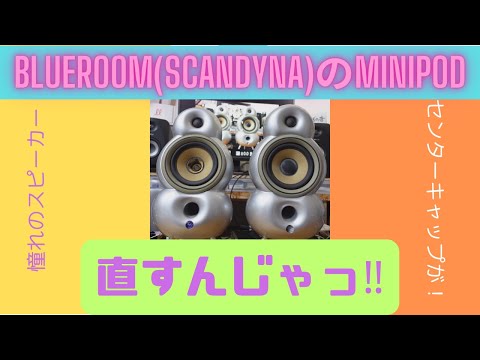BLUEROOM（SCANDYNA）のスピーカーを直すんじゃっ！ センターキャップ