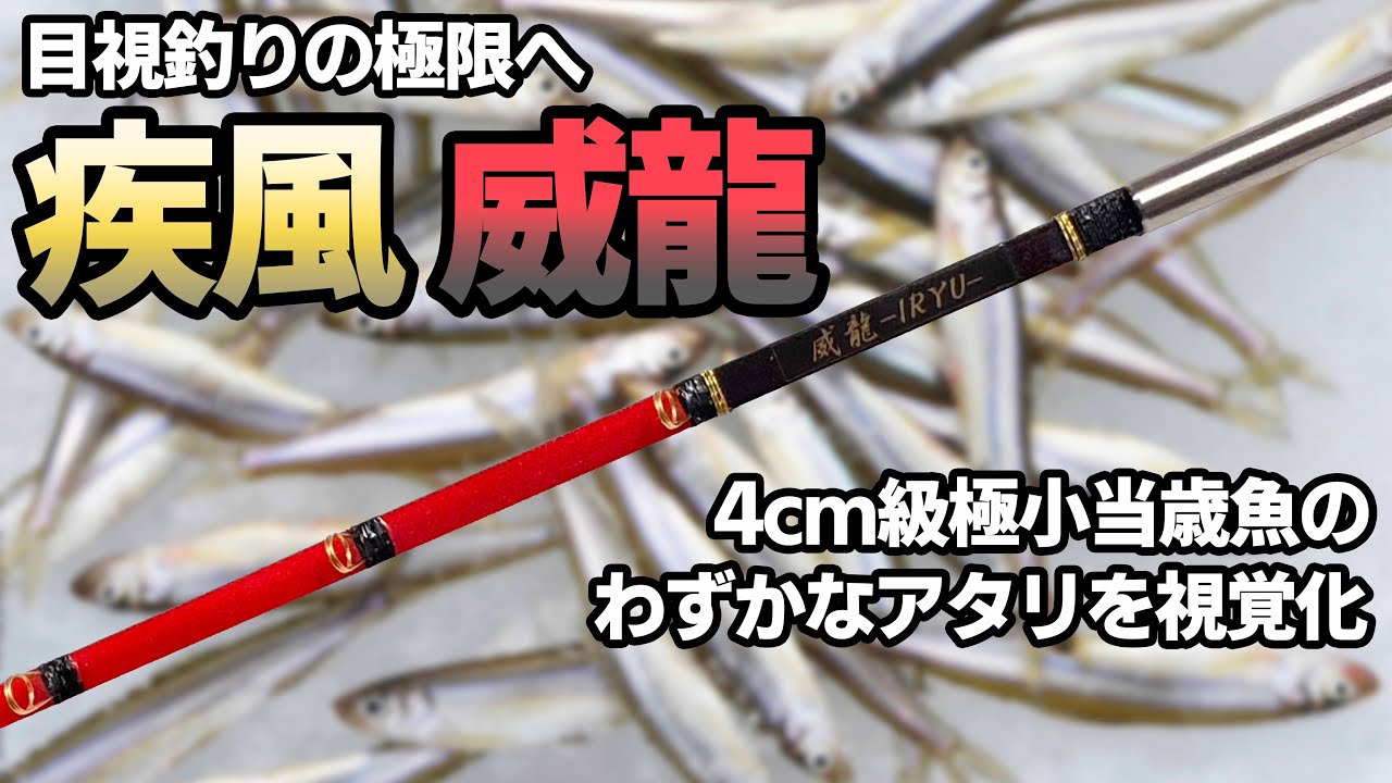 目視釣りの極限へ】疾風 威龍 手元極調子【ワカサギ穂先実釣動画