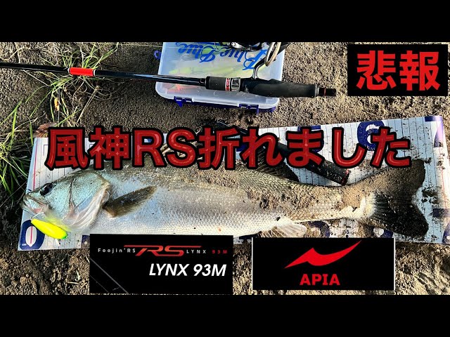 APIA Foojin'RS】シーバス釣りに行ったら釣竿折れました。。。 - YouTube
