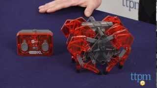 Hexbug Strandbeast XL from Innovation First - YouTube
