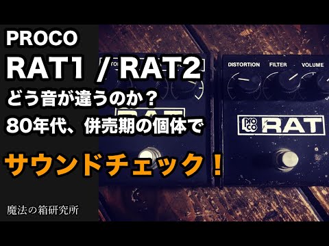 PROCO RATをレビュー！年代別の見分け方とサウンドを比較してみた