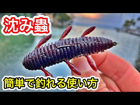釣り用品セット☆バケットマウスシマノメタニウムMG7バイオマスター