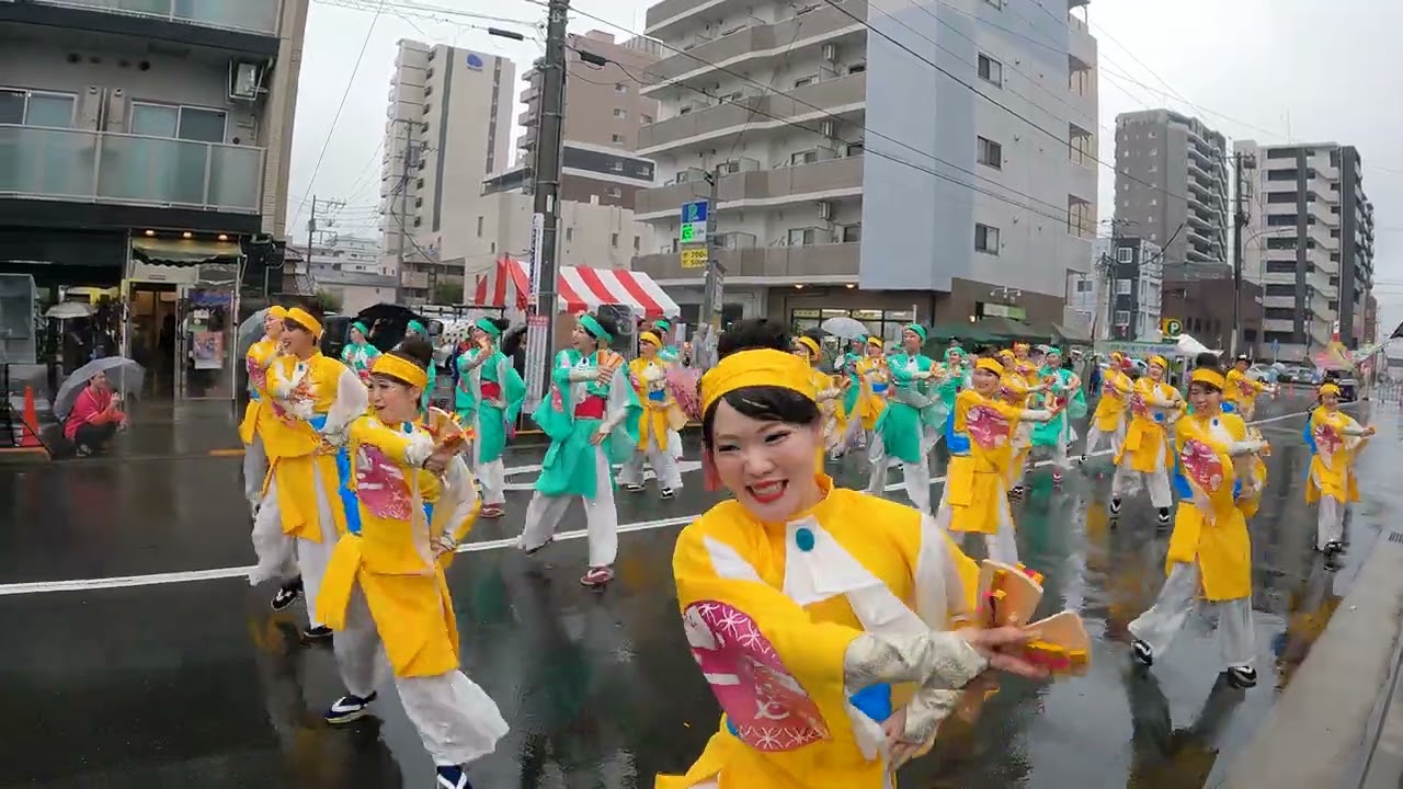 しゃんせ】ひのよさこい2024 #しゃんせ #yosakoi #dance GX010994