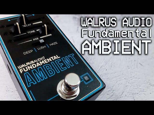 Walrus Audio | Fundamental Ambient | VIDEO REVIEW [NO TALK / ONLY