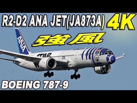 R2-D2 ANA JET (JA873A) Boeing 787-9 羽田空港に着陸 Landing at