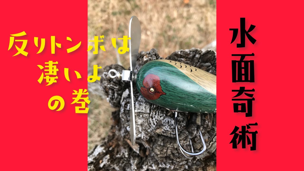 水面奇術 #57 反りトンボは凄いよの巻 反りトンボナロー ローカル