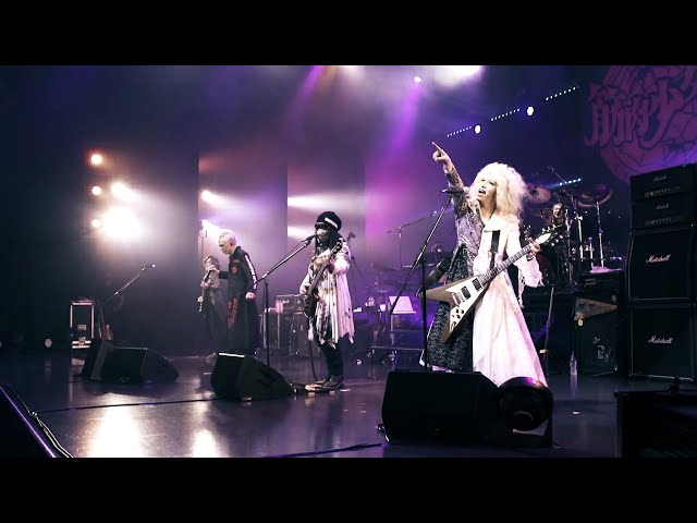 筋肉少女帯 - 暴いておやりよドルバッキー [LIVE] (Kinnikushoujotai
