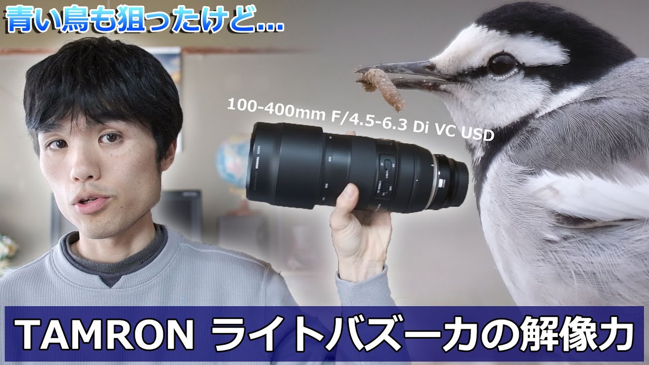 あこがれの青い鳥とTAMRON 100-400mm F/4.5-6.3 Di USDの解像力 - YouTube