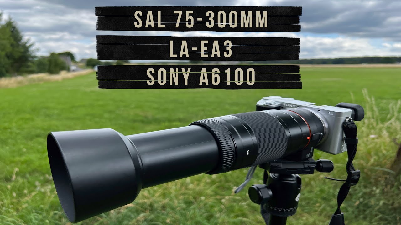 Sony SAL 75-300 mm 4.5-5.6 & LA-EA3 & A6100 APS-C I Alternative to