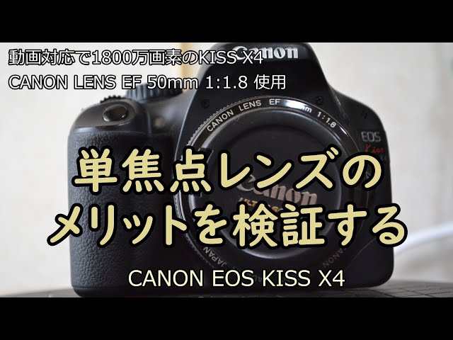 CANON EOS KISS X4 中古カメラ紹介 with CANON LENS EF 50mm 1:1.8