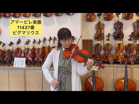 売約済】バイオリン ピグマリウスST-02 4/4 1992年製（11437番）Sold
