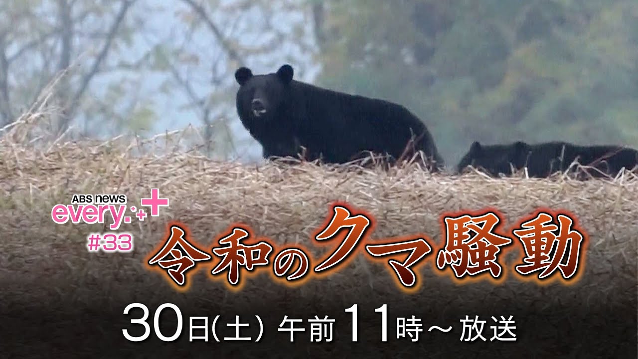 12/30 午前11時00分～午前11時25分「ABS news every.＋＃33 令和のクマ