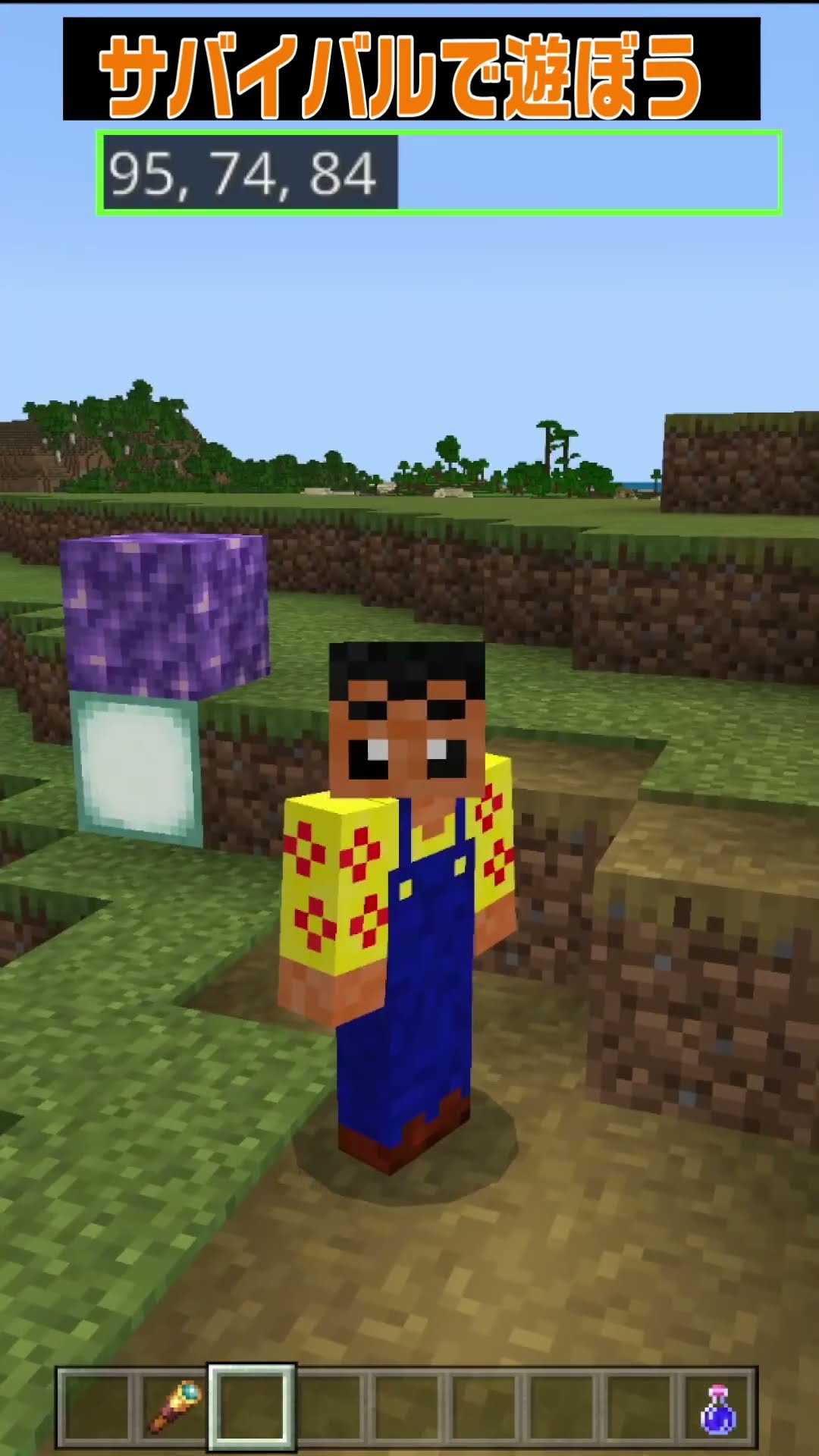 The initial spot is a flower field village. There are two