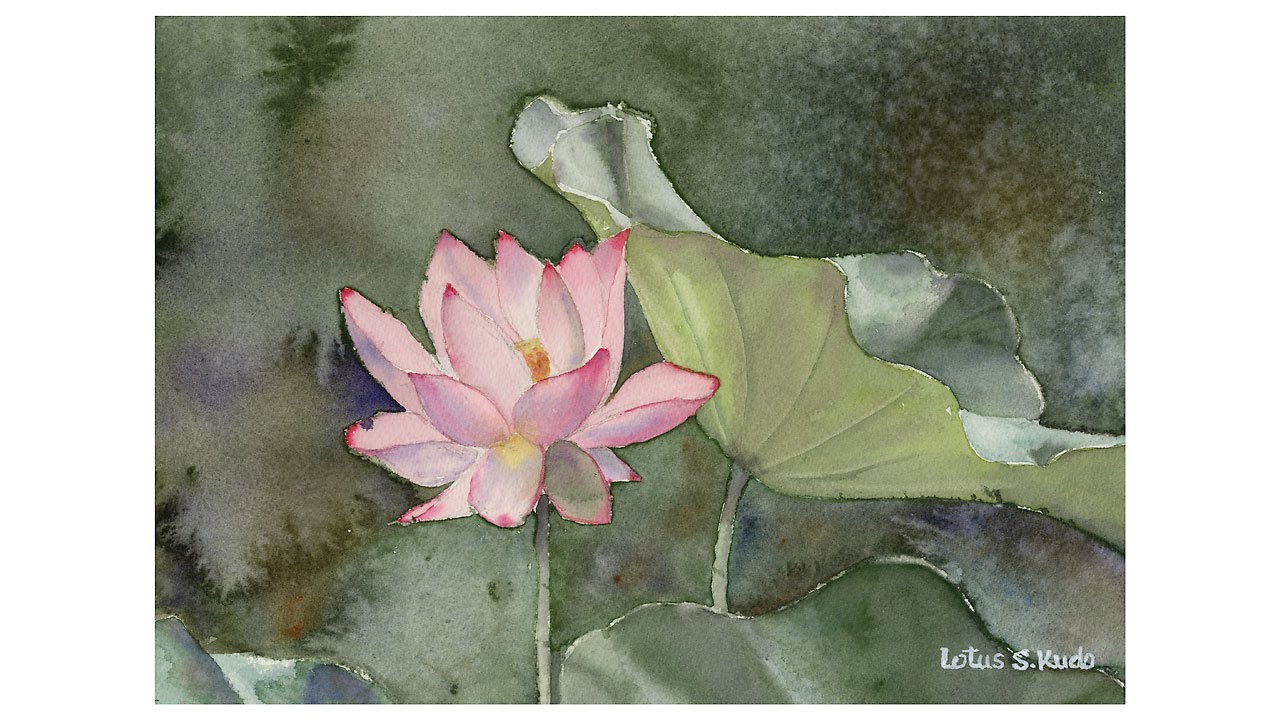 Lotus No.2 / 蓮の花2 - YouTube