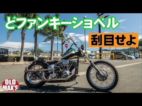 おいおいおい、、【こいつはCOOLすぎないかい？】お待ちかねの74