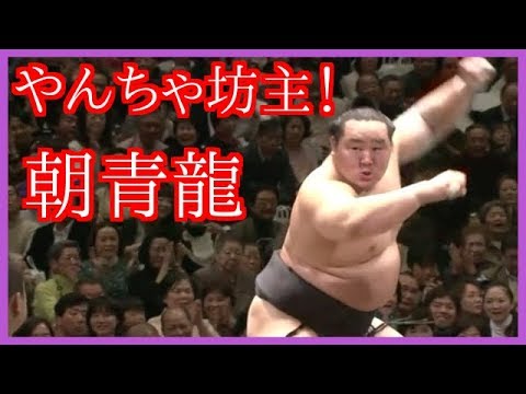 橫綱*對決朝青龍對決白鵬- YouTube
