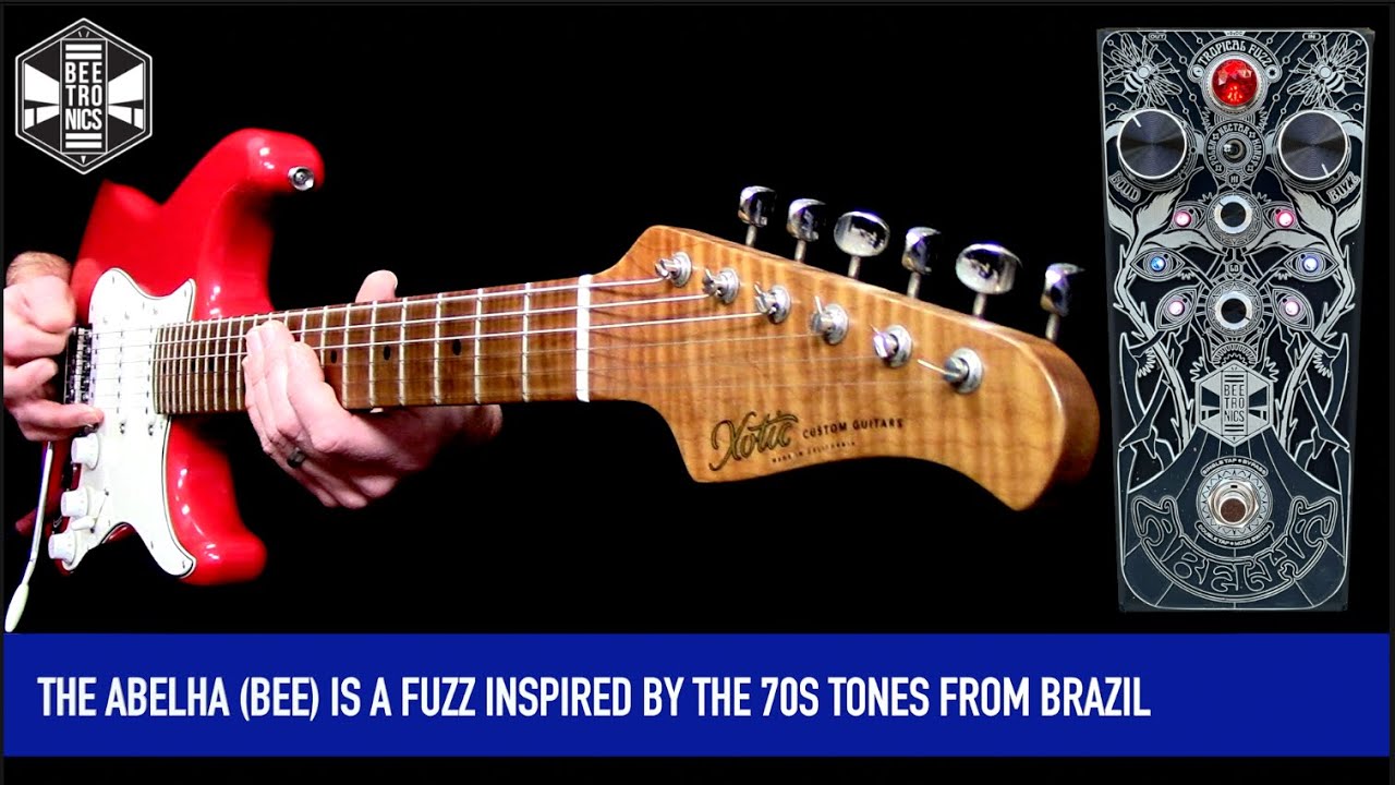 Beetronics ABELHA TROPICAL FUZZ - YouTube