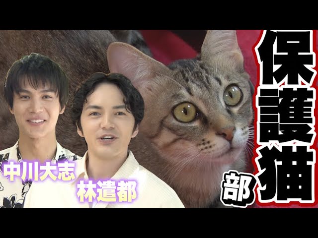 林遣都オフィシャルカレンダー 2012-2013 メイキングpart2 - YouTube