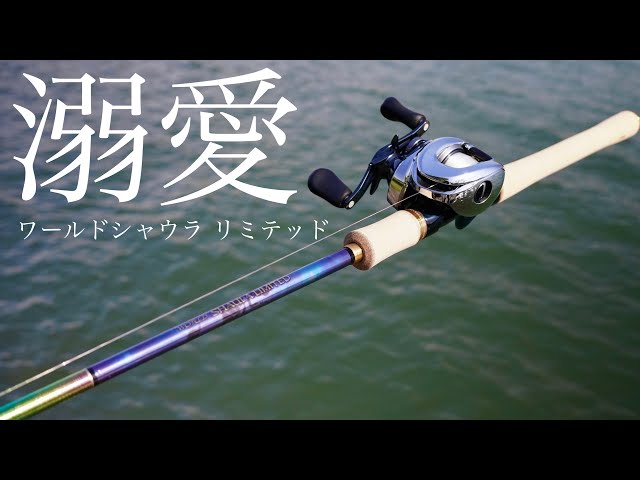 極美品 1703R ワールドシャウラ 青シャウラ ワールドシャウラ