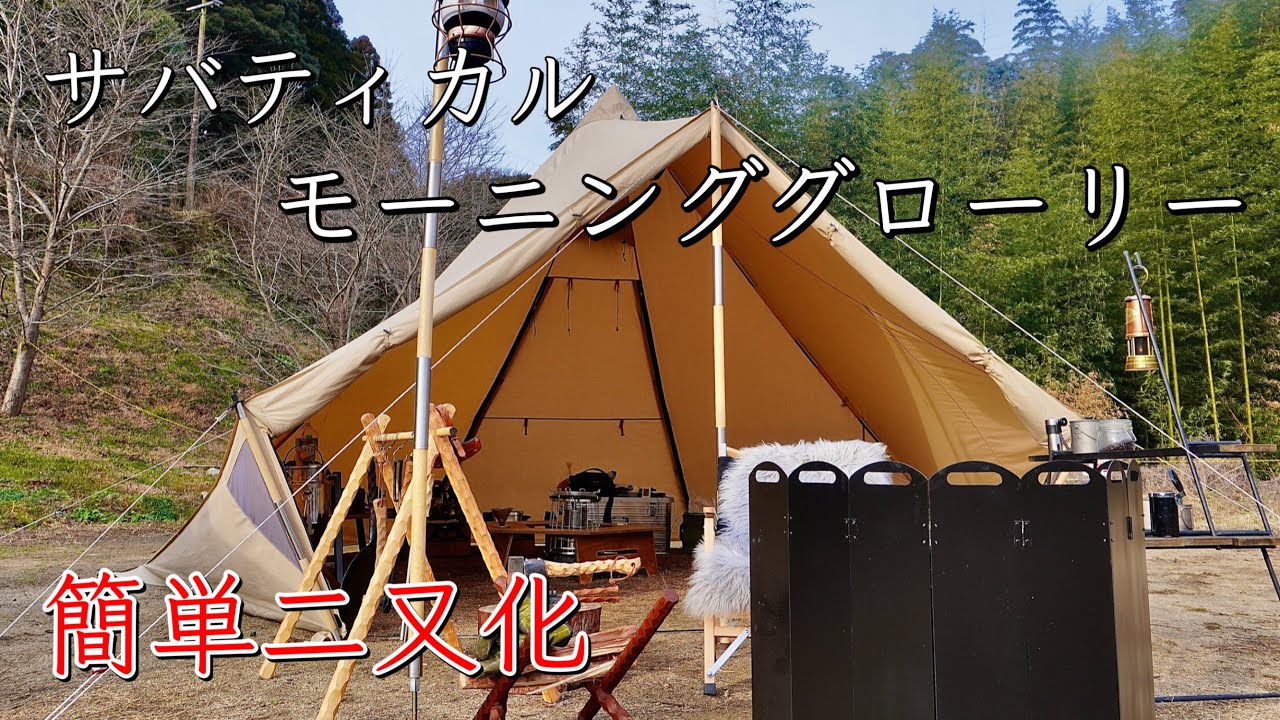 サバティカル】モーニンググローリー 簡単二又化‼️ウッドポールで