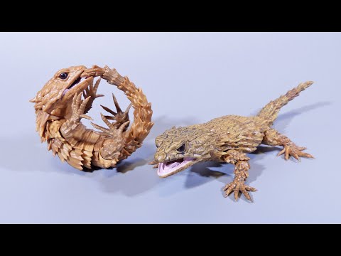 だんごむしガチャのアルマジロトカゲを紹介するよ【いきもの大図鑑