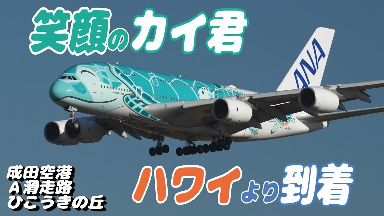 4K】成田空港 ひこうきの丘周辺 全日空 超巨大旅客機 フライング・ホヌ