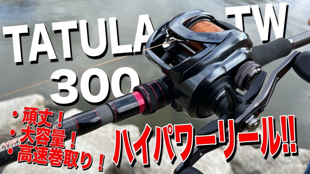 Tatuula 300] Seriously, the power and weight are incredible! A