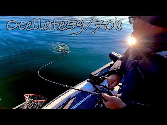 Ocellate59/70(オセレイト59B+) 解説動画 - YouTube
