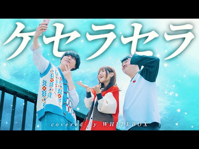 Mrs.GREEN APPLE】- ケセラセラ covered by WHITEBOX【歌ってみた