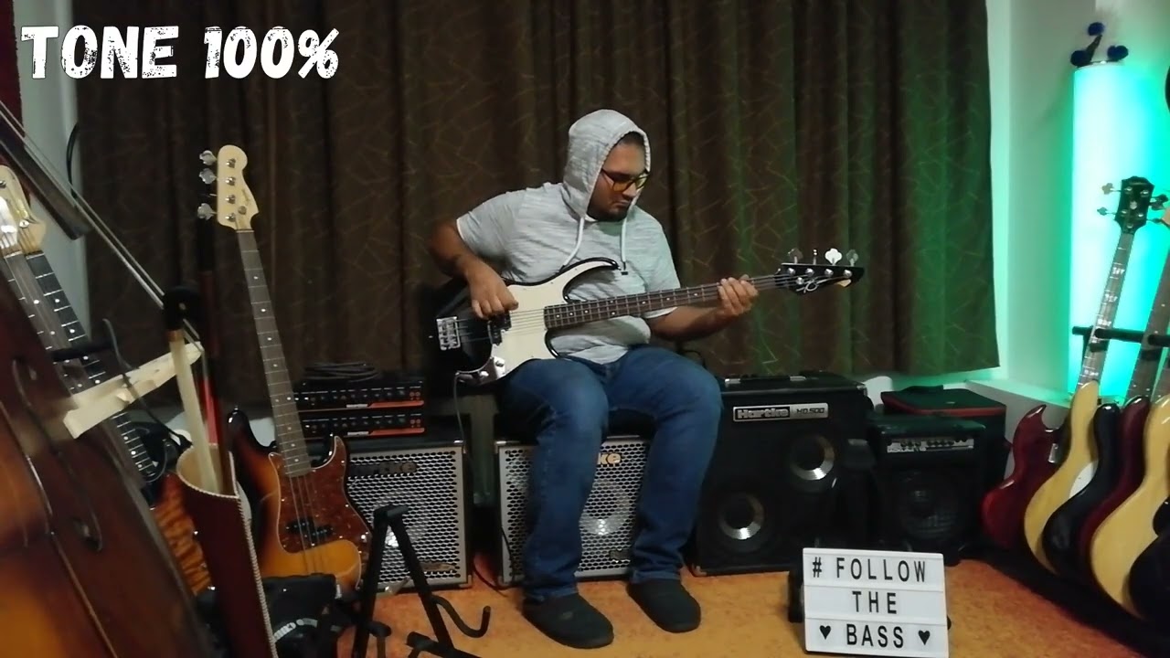 Peavey Zodiac EX precision bass/Hartke HD500 - YouTube