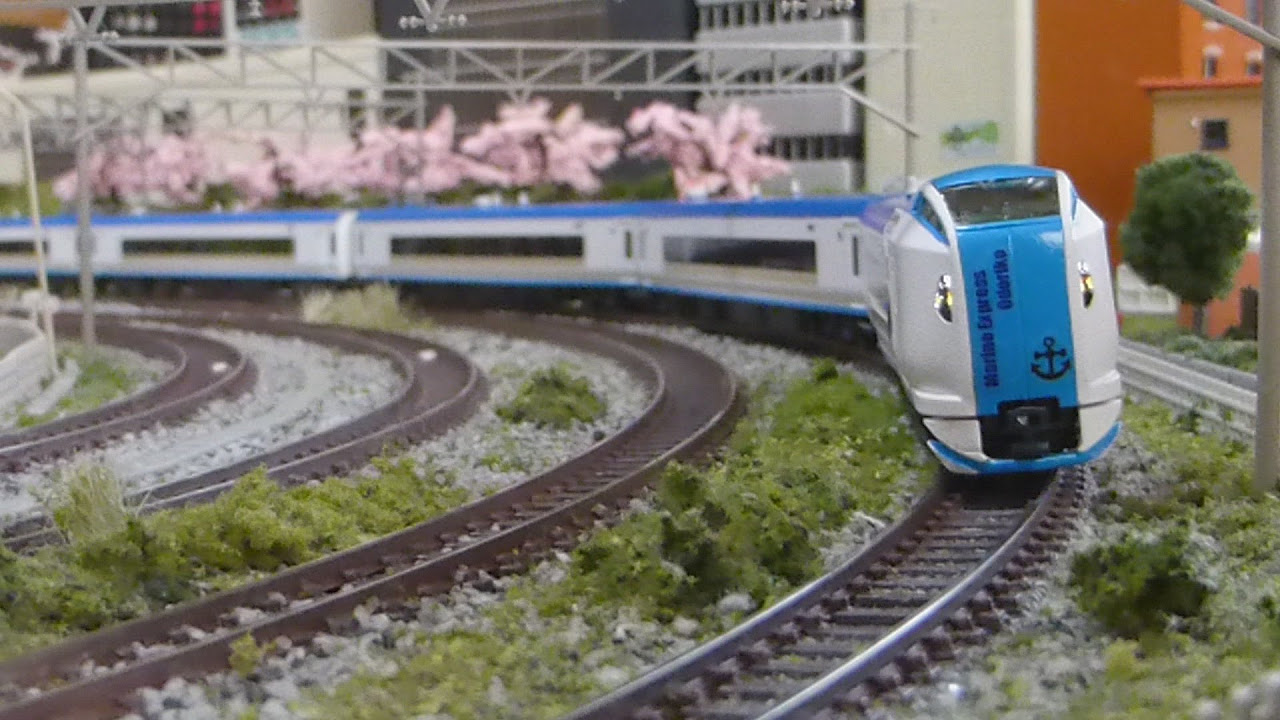 Nゲージ E259系マリンエクスプレス踊り子 (オリジナル塗装) 走行シーン