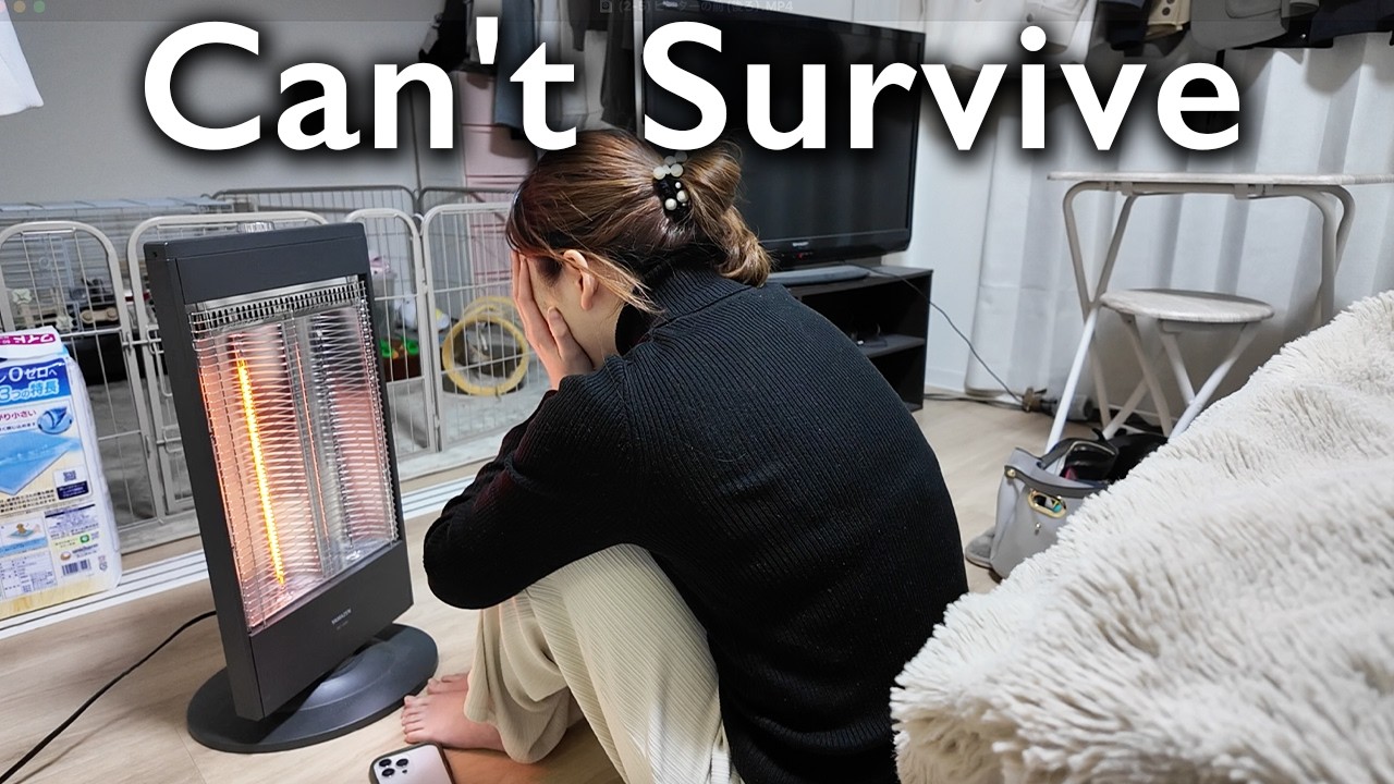 緊急動画】「クリスマス限定ヘッドホンケーブル」販売開始します