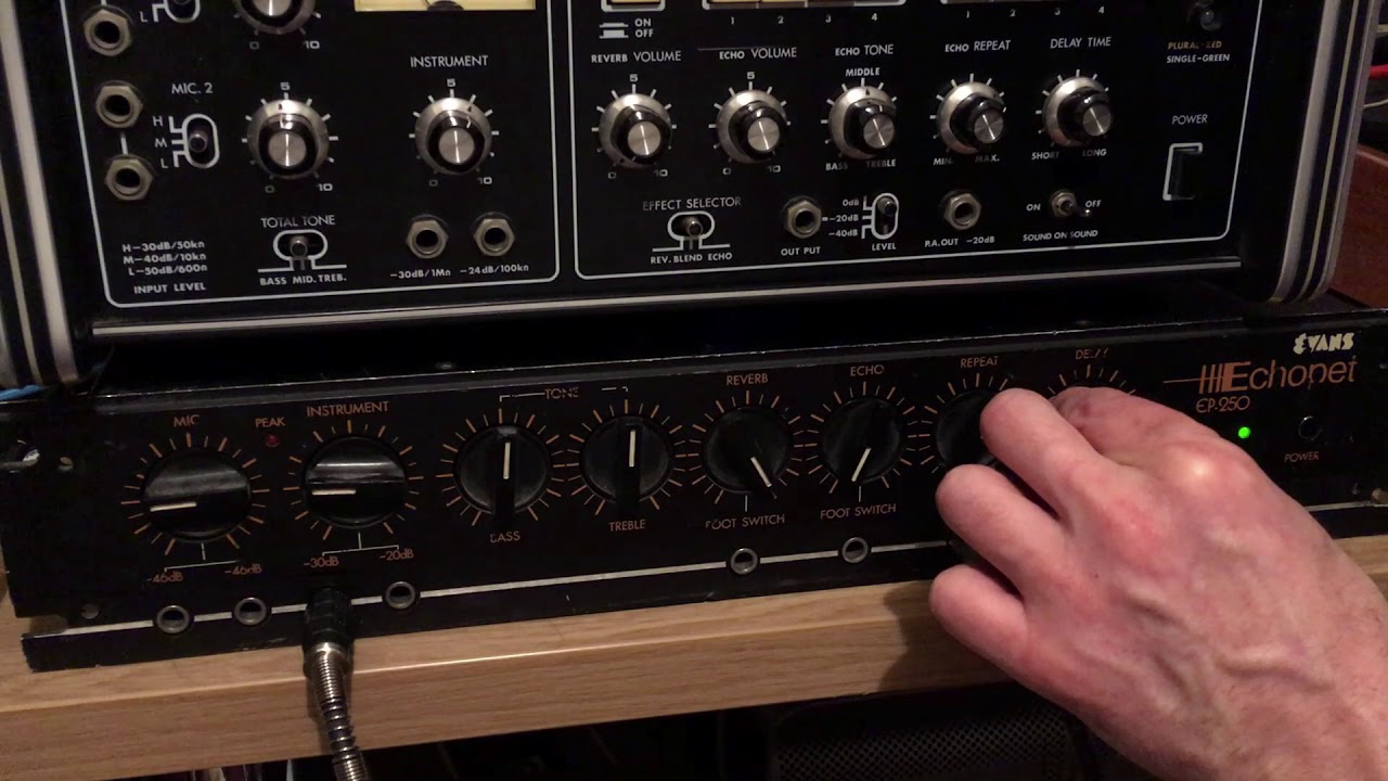 EVANS ECHOPET EP-250 - analogue delay with spring reverb demo