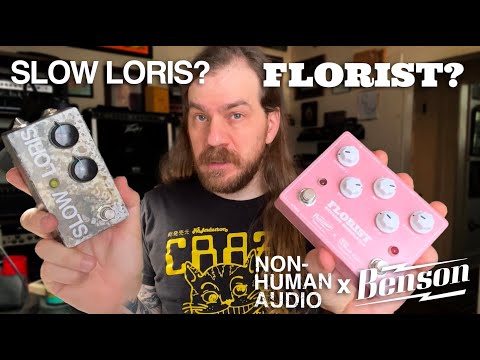 Slow Loris? Florist? What's the difference? // Non-Human Audio