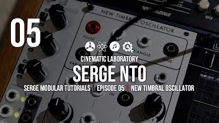 Random*Source Serge New Timbral Oscillator (NTO) - Eurorack Module