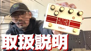 GINGER TURBO（Chimaira Guitars） : 四人冗語