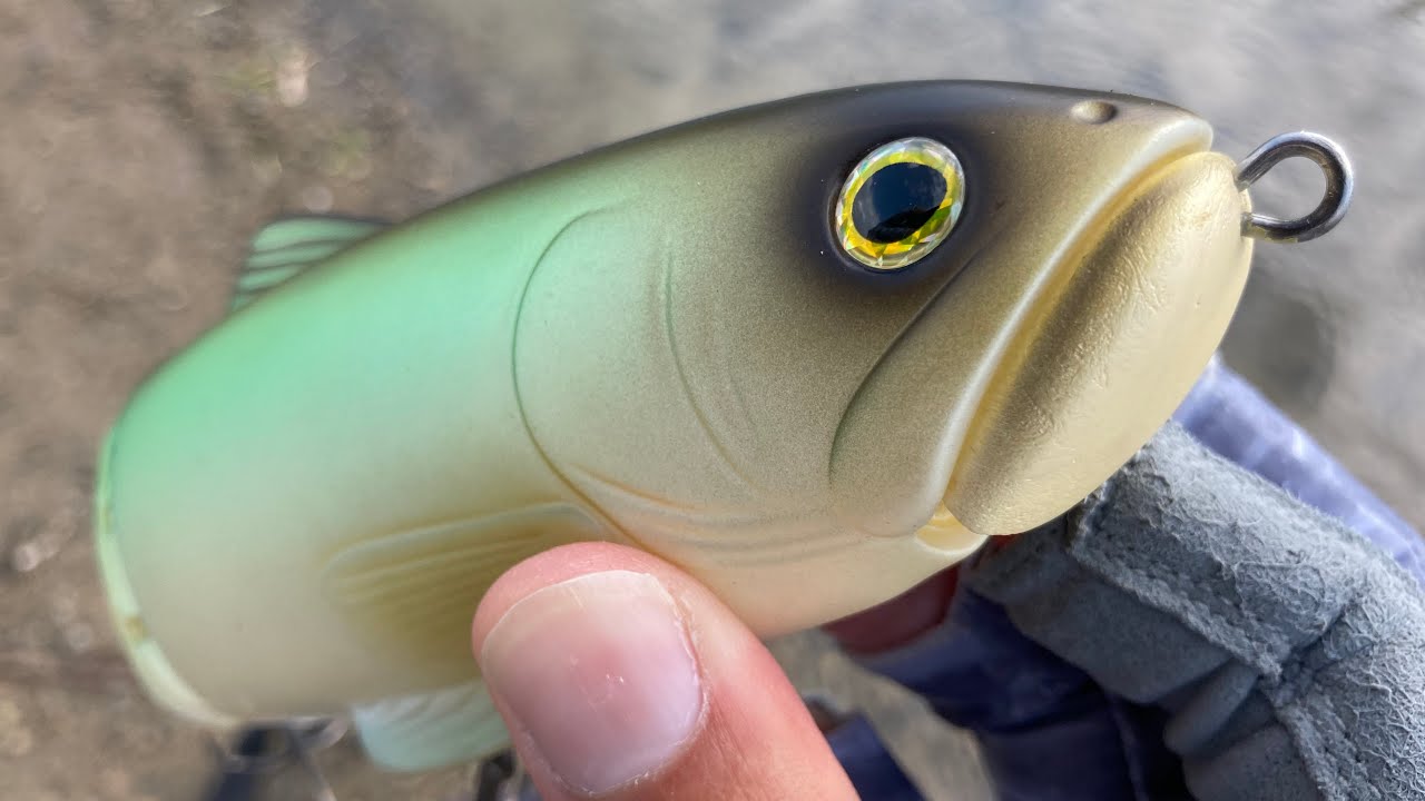 旧スライドスイマー250を頂いたので初見インプレッション。ニュー