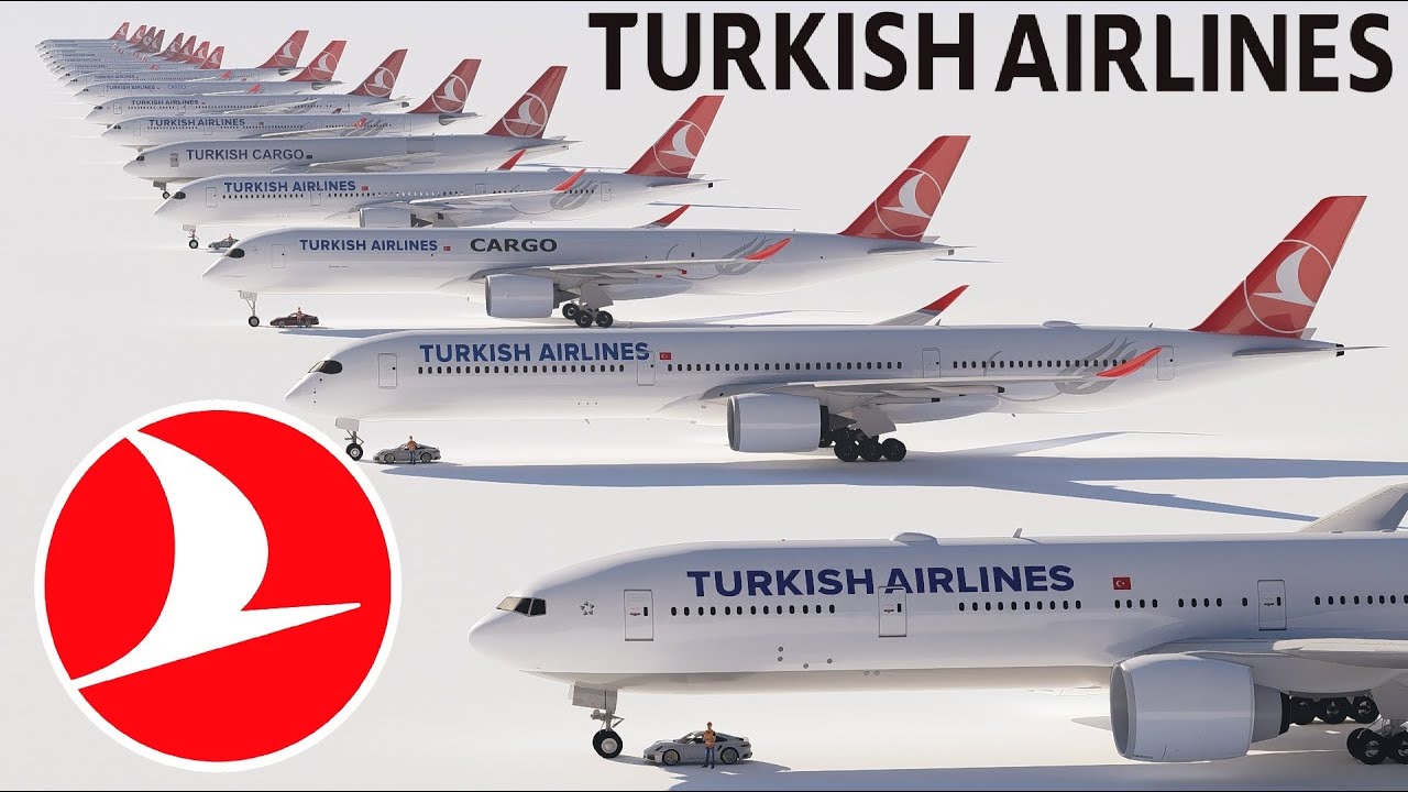 航空機・ヘリコプター Turkish Airlines Airbus A321neo 1/100 航空機