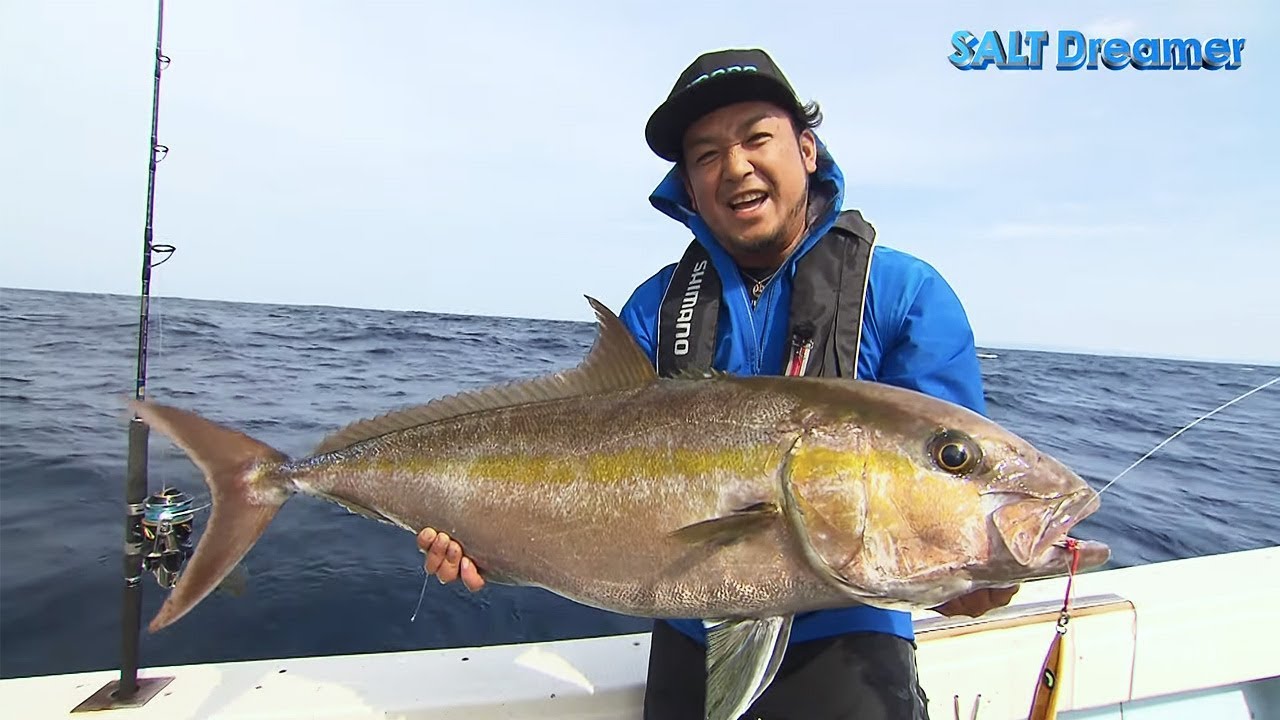 SALT Dreamer #074 Tanegashima, Kagoshima Prefecture, Amberjack