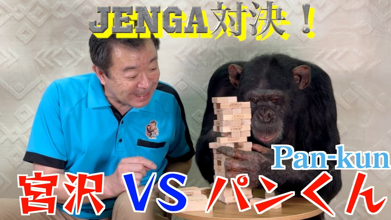 Genius! Chimpanzee Pan-kun