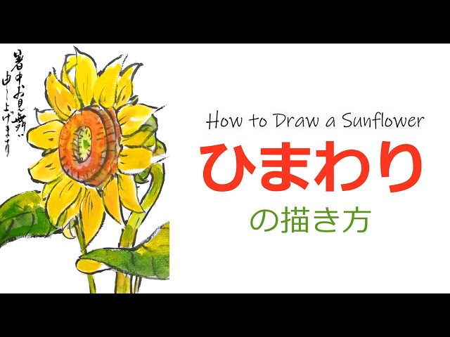 向日葵の描き方1🌻｜夏の花の絵手紙｜6月・7月・8月【暑中見舞い・残暑