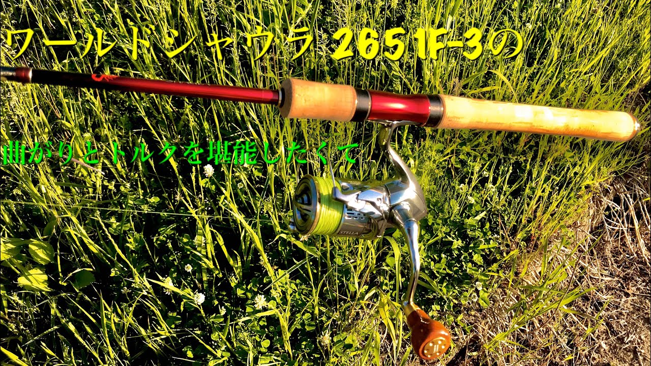 ワールドシャウラ2651F-3でバスじゃない魚を狙ってみた - YouTube